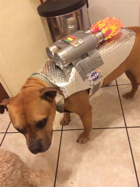 Diy Dog Costume Ideas at Natasha Waldron blog