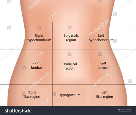Left Hypochondriac Region