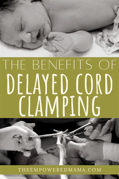 The Benefits of Delayed Cord Clamping You Don't Want To Miss Out On - The Empowered Mama