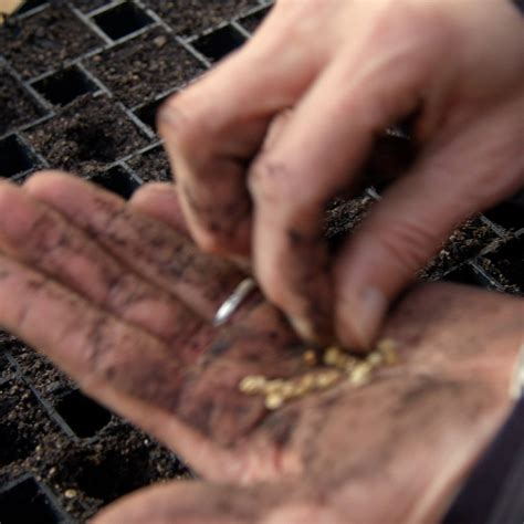 Papawhakaritorito Trust (@papawhakaritorito_trust) • Instagram photos ...