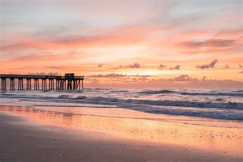 Are Dogs Allowed On New Jersey Beaches