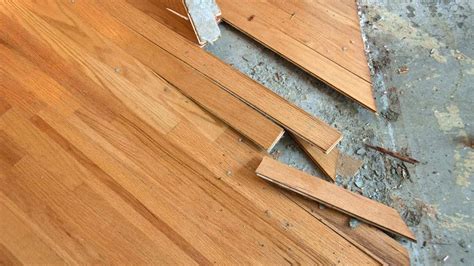Are Squeaky Floors A Structural Problem