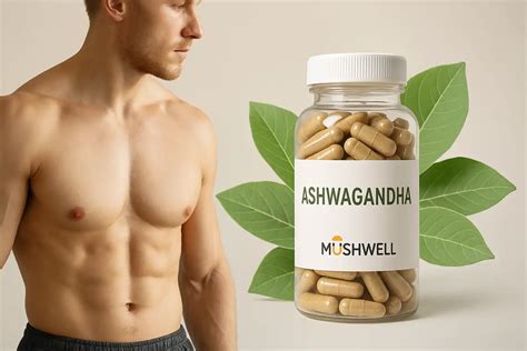Ashwagandha para Hombres: Beneficios Reales Según la Ciencia (2025 ...