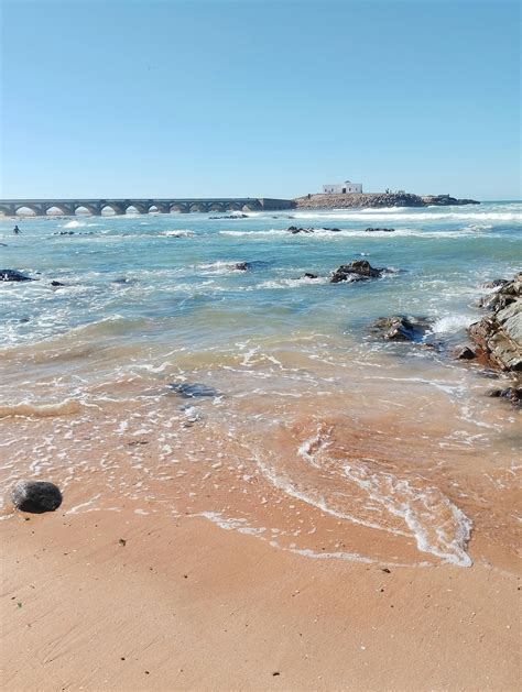 100,000+张最精彩的“Nudist+beach+boner”图片 · 100%免费下载 · Pexels素材图片