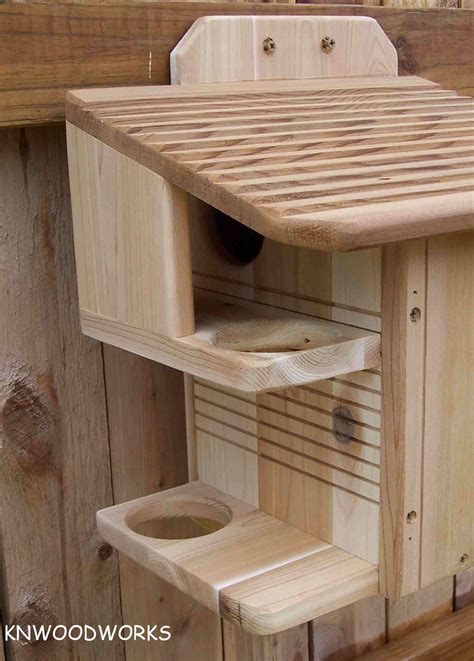 Plans For A Squirrel House at Hannah Belisario blog