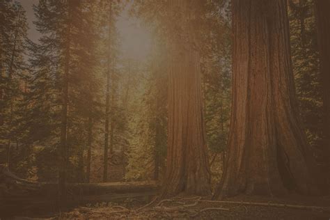 Dura Cyber - Fortified Security, Simplified