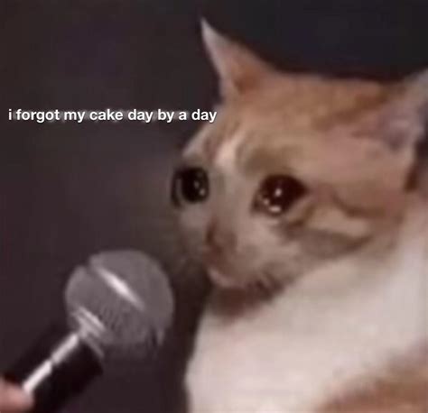Sad Face Cat Meme