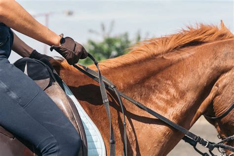 Rain vs. Reign vs. Rein: 3 Essential Tips to Master Unlocking the Power ...