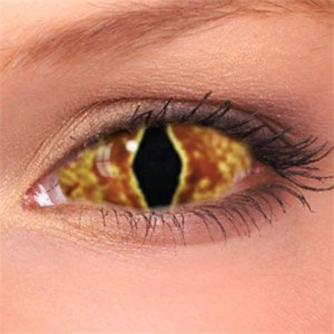Sclera Contacts Lenses