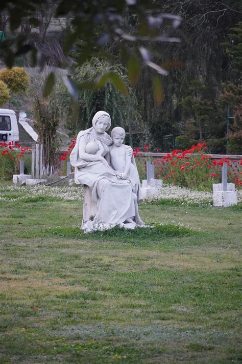 Moms+With+Bikinis Photos, Download The BEST Free Moms+With+Bikinis Stock Photos & HD Images