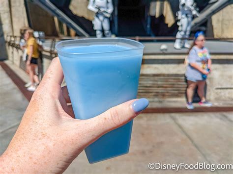 13 BELOVED Snacks That Are Officially Confirmed as Disney Dining Plan ...