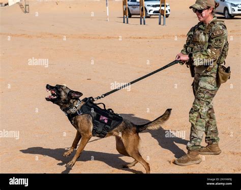 U.S. Air Force Staff Sgt. Leirin Simmons, a K9 handler with the 378th Expeditionary Security ...