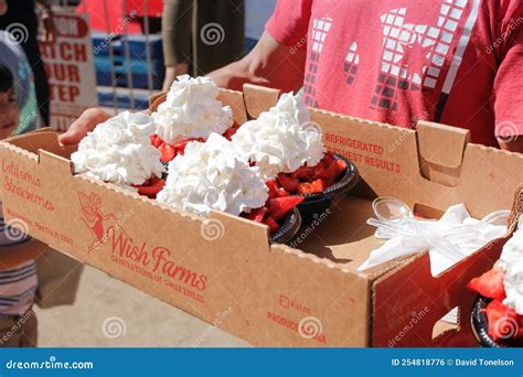 Strawberry Festival, Customer Carries Box, Shortcake Editorial Photo ...