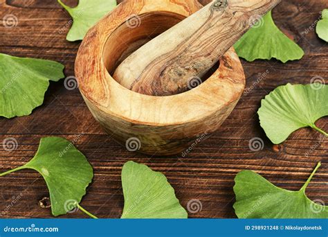 Exploring The Traditional Use Of Ginkgo Biloba