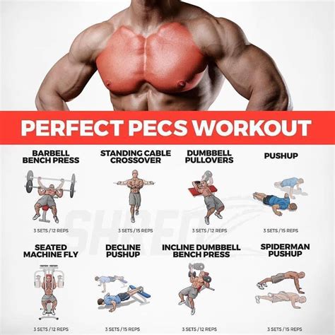 SuperSet Chest Workout - The Best 4 SuperSets For Bigger Chest ...