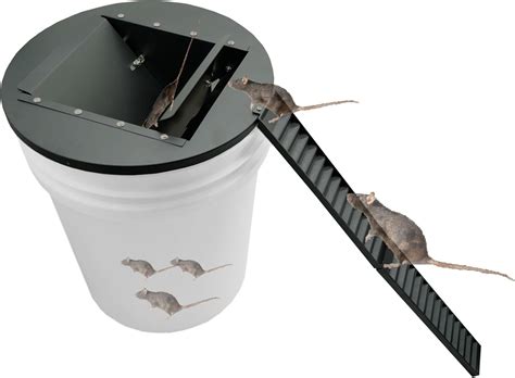 Amazon.com: Bucket Lid Mouse Trap Metal 5 Gallon Bucket lid, 45° tilt ...