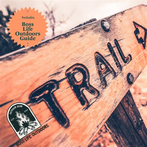 Snapklik.com : Coleman Propane Cylinders - 16 Oz