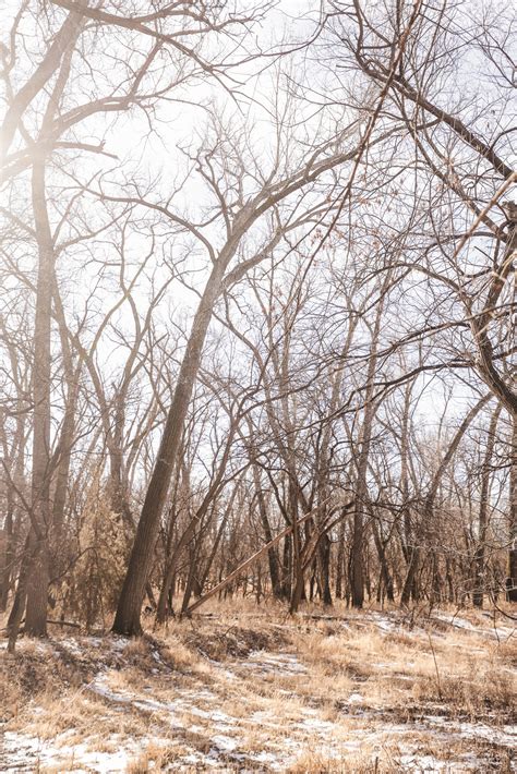 Red Cloud, NE 68970 | Listing | American Legacy Land Co.