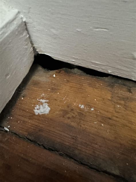 Gaps between floor and wall : r/DIY