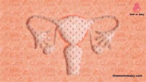 Getting Pregnant with PCOS : Right Time for Parenthood