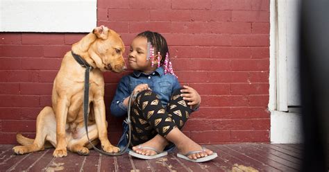 Fondo V.E.T. - Emancipet