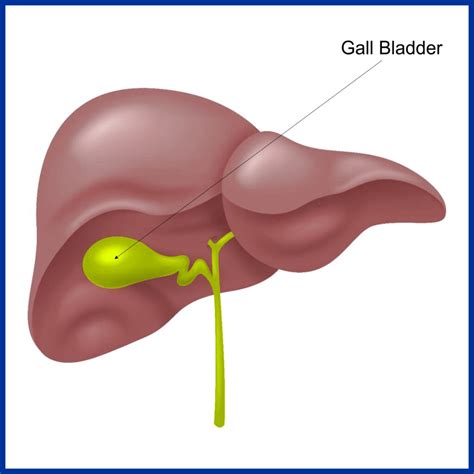 Gall Bladder Disease - Kaizen Hospital | Gall Bladder Cancer