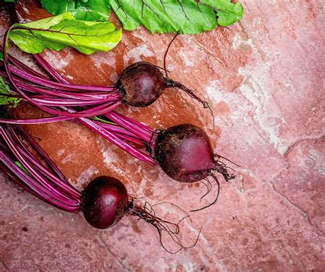 Gut Health Recipe: How to Make Beet Kvass with Martha Carlin - BiotiQuest