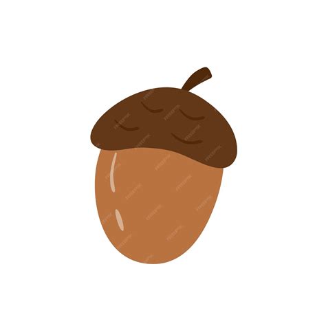 Premium Vector | Acorn vector illustration isolated on white background ...