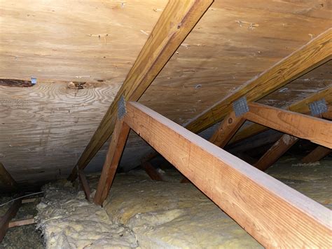 Mold On Trusses In Attic | Gas Furnace