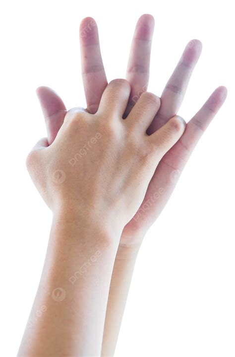 Male Vs Female Hands