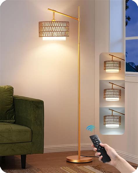 Rattan Arc Floor Lamp with Remote,Gold Farmhouse Floor Lamp with ...