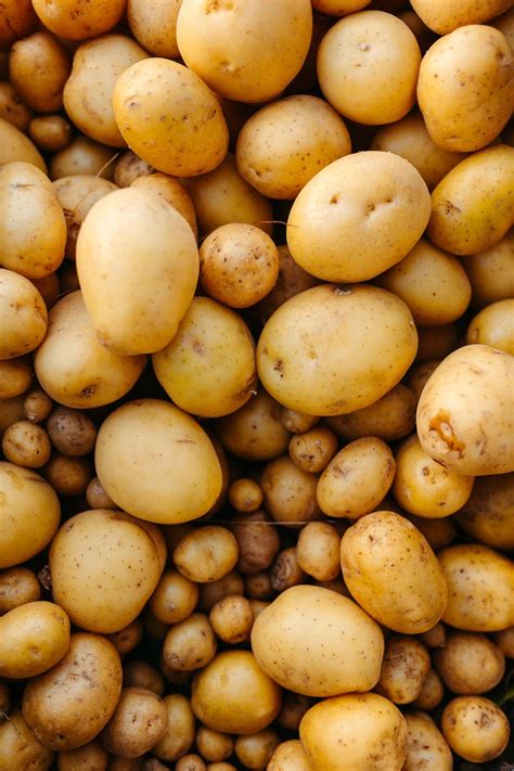 Plunging Potatoes: A Guide on Depth – Lawn World – Everything Outdoor