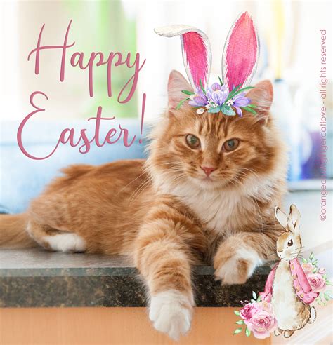 Happy Easter 2024 from Zee and Zoey’s Cat Chronicles