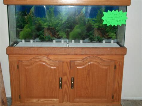 Best 75 Gallon Aquarium Stand at Inez Bennett blog