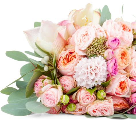 McCorkle Funeral Home