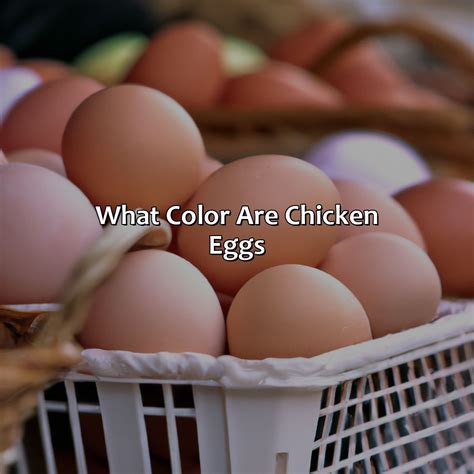 Orange And Green Make What Color - colorscombo.com