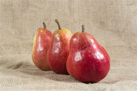 Draeger’s Guide to Pears - Draeger's Market