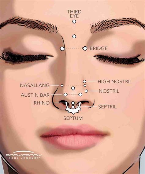 Face Piercing Diagram
