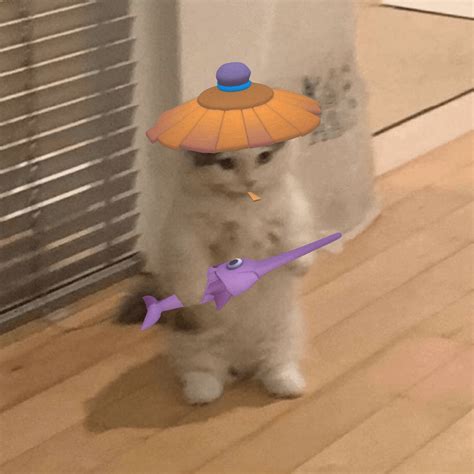 Standing Cat Meme - SwordsMan : r/ClashMini