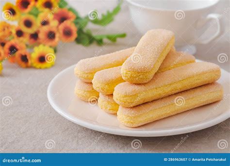Lady Finger Biscuits, Italian Dessert and Sponge Cookie on White Plate ...