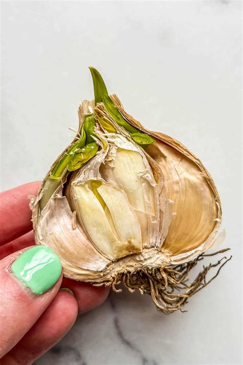 How Long Until Garlic Goes Bad