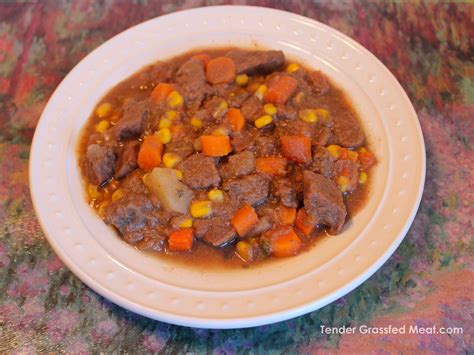 Native American Bison Stew Recipe