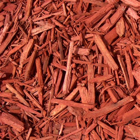 Mulch Spanishdict at Lynda Tawney blog