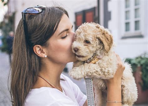 Do Dogs Understand Kisses? Insights into Canine Cognition