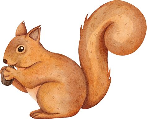 Clip Art Squirrel