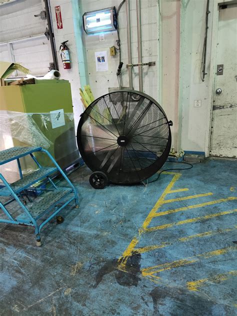 getting blown by a big girl : r/OnlyFans