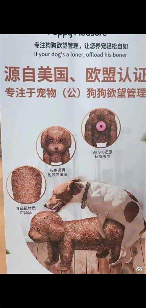 Only in China. A sex doll for dogs. : r/China