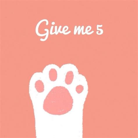 猫爪~Give me five - 高清图片，堆糖，美图壁纸兴趣社区