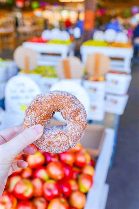 Boa Vista Orchards in Apple Hill - An El Dorado County Gem - California ...