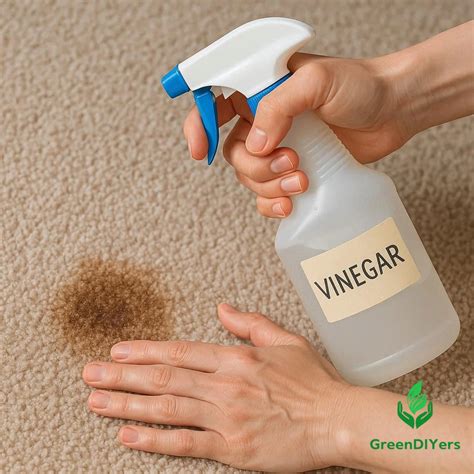 diy carpet cleaning solution: 7 Powerful Recipes to Remove Stains, Save ...